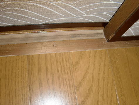 微妙に歪んでいる敷居にも削り合わせたのでぴったり