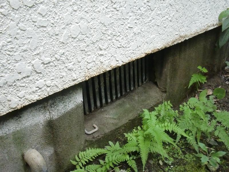 キッチン回りの基礎が水で濡れていました