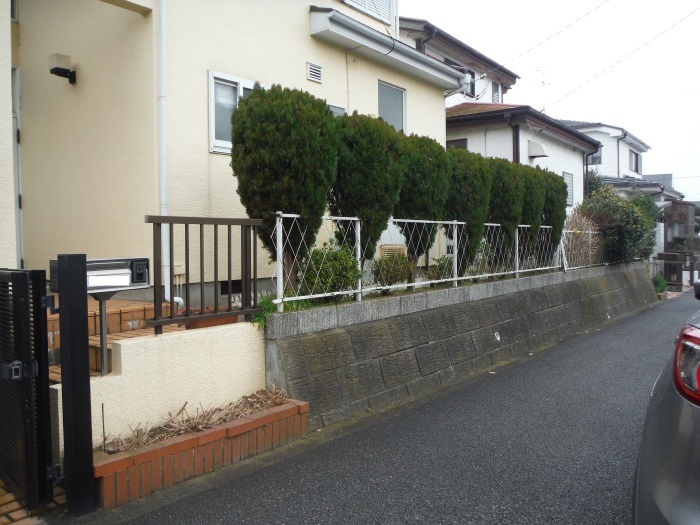 道路沿いの植木撤去