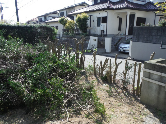 庭の生け垣を撤去